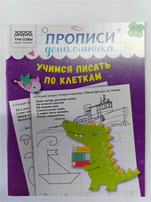 Прописи дошкольника "Три совы", учимся писать по клеткам, для детей 4-5 лет 10168